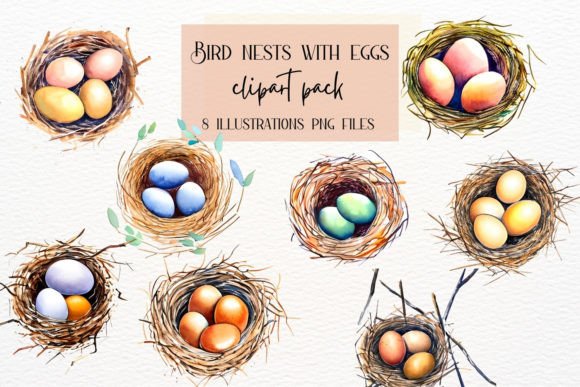 Bird Nest with Eggs Collection: Nature-Inspired Illustrations for Creatives